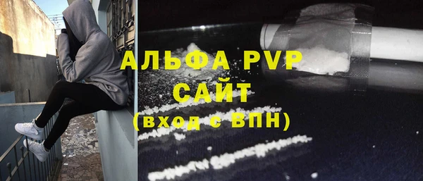 амф Инта