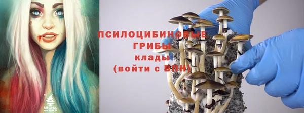 каннабис Каменногорск
