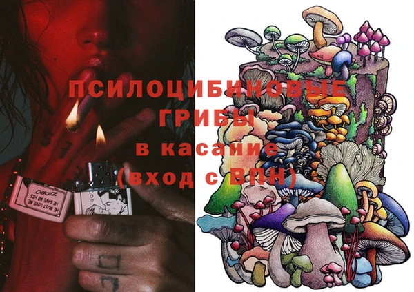 прущая мука Иннополис
