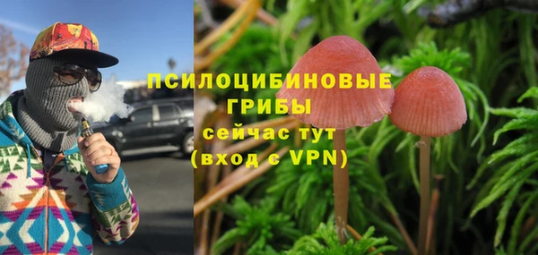 гидропоника Каменск-Шахтинский