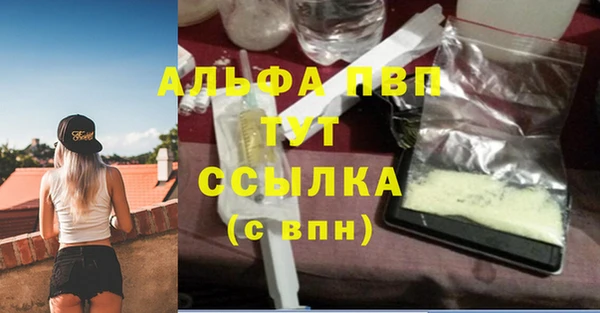 Альфа ПВП Инсар