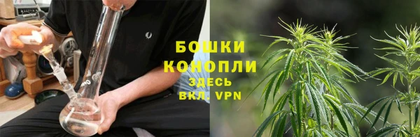 каннабис Каменногорск