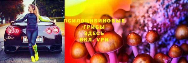 гидропоника Каменск-Шахтинский