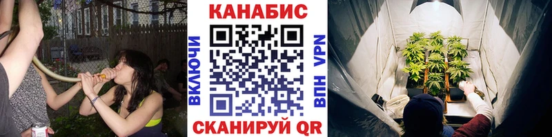 МАРИХУАНА White Widow Княгинино